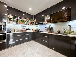 Daisy Park (D13), Terrace #574644471